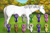 Horse Color:Brown Sabino Near Leopard 