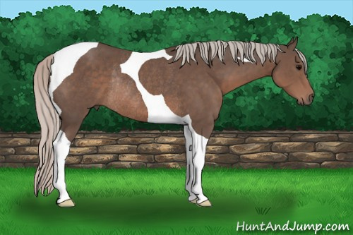 Horse Color: Silver Black Tobiano Rabicano 