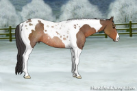 Horse Color:Bay Tobiano Rabicano 