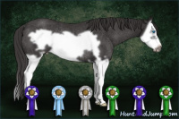 Horse Color:Buckskin Splash Frame Rabicano