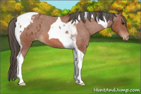 Horse Color:Bay Roan Tobiano Blanket 