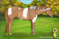 Horse Color:Black Pearl Splash Tobiano Frame Rabicano Brindle