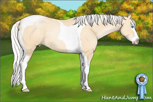 Horse Color: Silver Smoky Black Pearl Splash Tobiano 