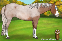Horse Color:Silver Bay Roan Sabino Splash 