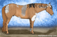 Horse Color:White Spotted Grullo Ice Splash Brindle