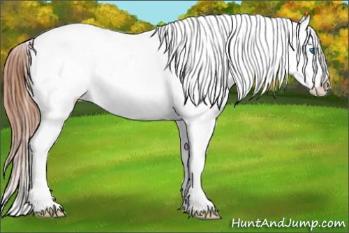 Horse Color: Bay Roan Splash Frame Blanket 