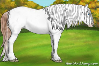 Horse Color:Bay Roan Splash Frame Appaloosa 