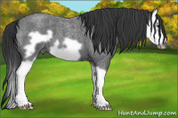 Horse Color:Blue Roan Splash Frame 