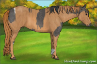Horse Color:Black Tobiano Brindle