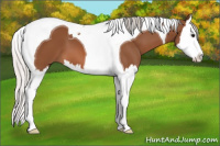 Horse Color:Silver Bay Splash Tobiano 