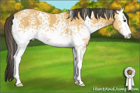 Horse Color:White Spotted Buckskin Sabino