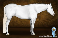 Horse Color:Buckskin Roan Pearl Frame Appaloosa 