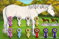 Horse Color:Cremello Dun Splash 