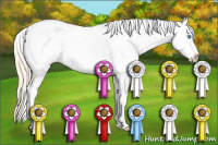 Horse Color:White Spotted Perlino Dun Appaloosa 