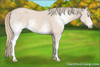 Horse Color:White Spotted Smoky Creme Sabino 
