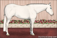 Horse Color:Cremello Dun Sabino