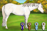 Horse Color:White Spotted Perlino Dun 