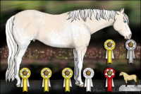 Horse Color:White Spotted Silver Perlino Sabino 