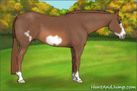 Horse Color:Liver Chestnut Frame 
