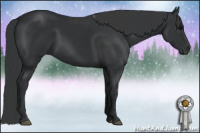 Horse Color:Brown Sabino 