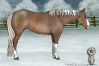 Horse Color:Silver Black Sabino Splash Tobiano Rabicano 