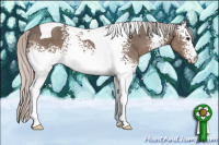 Horse Color:White Spotted Silver Black Tobiano Rabicano