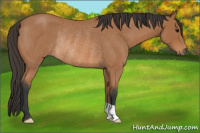 Horse Color:Bay Roan Rabicano 