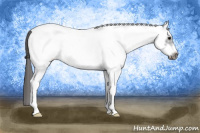Horse Color:White Spotted Black Frame Near Leopard 