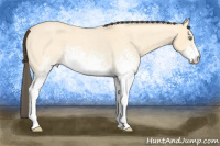 Horse Color:White Spotted Amber Cream Champagne Roan Dun