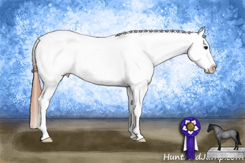 Horse Color: Bay Roan Dun Snowcap 