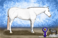 Horse Color:Bay Roan Dun Snowcap 
