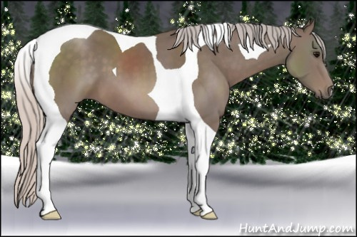 Horse Color: Silver Black Tobiano 