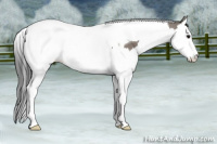 Horse Color:Black Splash Tobiano 