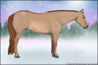 Horse Color:Red Dun 