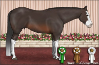 Horse Color:Brown Splash 