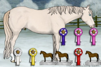 Horse Color:Perlino 