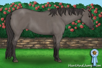 Horse Color:Buckskin Roan Dun 