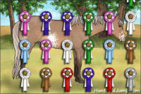 Horse Color:White Spotted Silver Brown Dun 