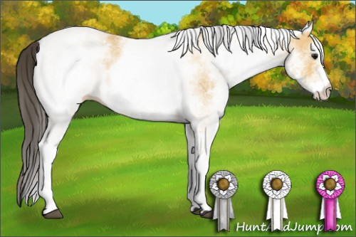 Horse Color: White Spotted Buckskin 