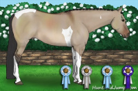 Horse Color:Brown Dun Sabino Tobiano