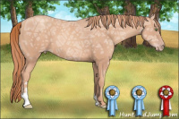 Horse Color:Gold Champagne Ice Sabino 