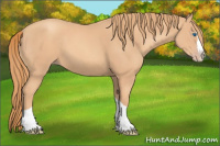 Horse Color:Gold Champagne Splash Tobiano 