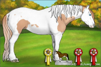 Horse Color:Gold Champagne Splash Tobiano