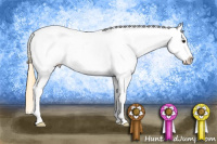 Horse Color:Smoky Grullo Roan Splash Appaloosa 