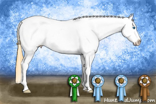 Horse Color: Buckskin Splash Blanket 