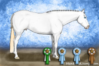 Horse Color:Buckskin Splash Blanket 