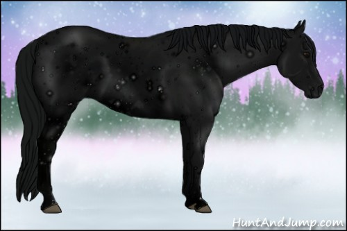 Horse Color: ERROR: UNKNOWN ANOMALY