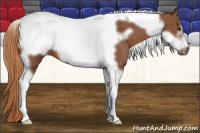 Horse Color:Liver Chestnut Tobiano Frame 