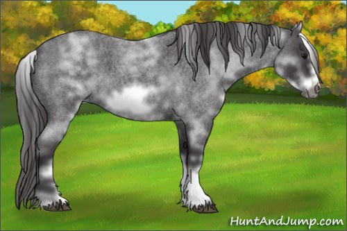 Horse Color: White Spotted Smoky Blue Roan Frame 