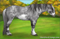 Horse Color:White Spotted Smoky Blue Roan Frame 
